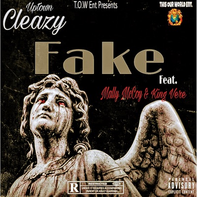 Fake (feat. King Vere & Mally McCoy) - Single