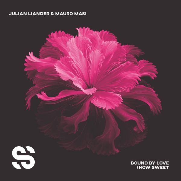 Bound by Love/How Sweet - Single