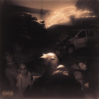 P2S (Pain 2 Shine) - Single - Shiny