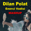 Enerci Vadisi (feat. Dilan Polat) - Bayulken