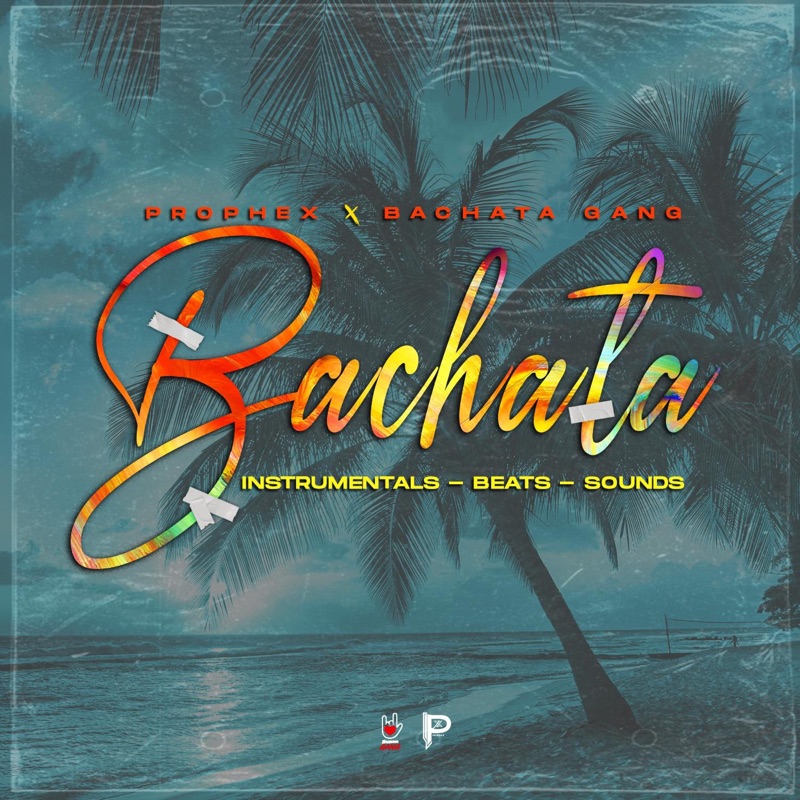 Bachata Timing (feat. Bachata Dance Instruction) [120 Bpm]