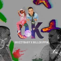 OK (feat. BrizzyBaby) - Single - Bill Grippin
