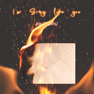 I'm sorry like you (feat. KON.D) - Single
