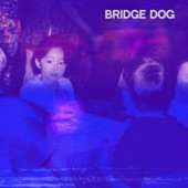 Bridge Dog - Counterweight