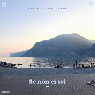 Se non ci sei (feat. liebe) - Single