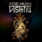 Vishnu - ACID MUSH lyrics