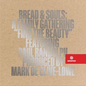 Find the Beauty - Single