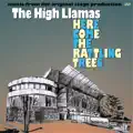 Here_Come_The_Rattling_Trees