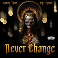 Never Change - Single - Looney_Toonz