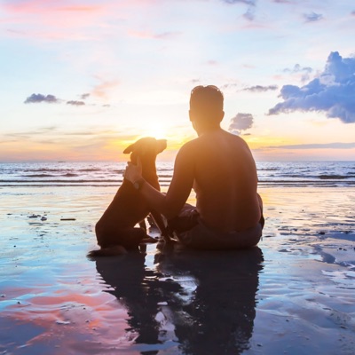 Sunshine (feat. Elena) - Single