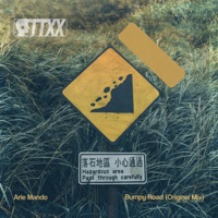 Bumpy Road - Single - Arie Mando