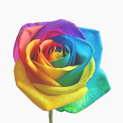 Somewhere over the Rainbow - Single