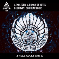 A Bunch of Notes / Circular Logic - Single - Kolectiv & Survey