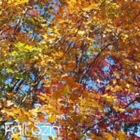 Fall Szn - EP - Luke Tidbury & Ref