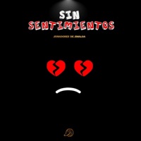 Sin Sentimietos.