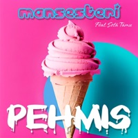 Pehmis (feat. Setä Tamu) - Single - Mansesteri