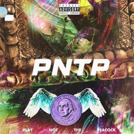 Mandrake Dreamscape Perch Studios