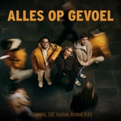 Alles Op Gevoel artwork