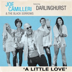 A Little Love (feat. Darlinghurst) - Single