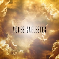 Voces Caelestes (feat. Lena Arlid) - Single - Karl Edh