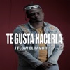 Te Gusta Hacerla - Single