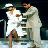 Don Satur (feat. 2UU! & SKIIDY) - Single - lili03