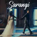 Sarangi