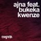 Kwenze (Extended Mix) [feat. Bukeka] artwork