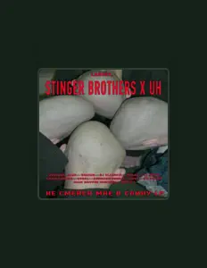 Dengarkan STINGER BROTHERS X U H, tonton video musik, baca bio, lihat tanggal tur & lainnya!