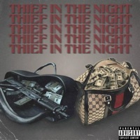 Thief In The Night (feat. TheGoonDidIt) - Single - Moe Gwalla