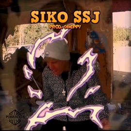 Ssj Siko