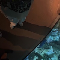 Dontseeu - Single - Am Just Mist