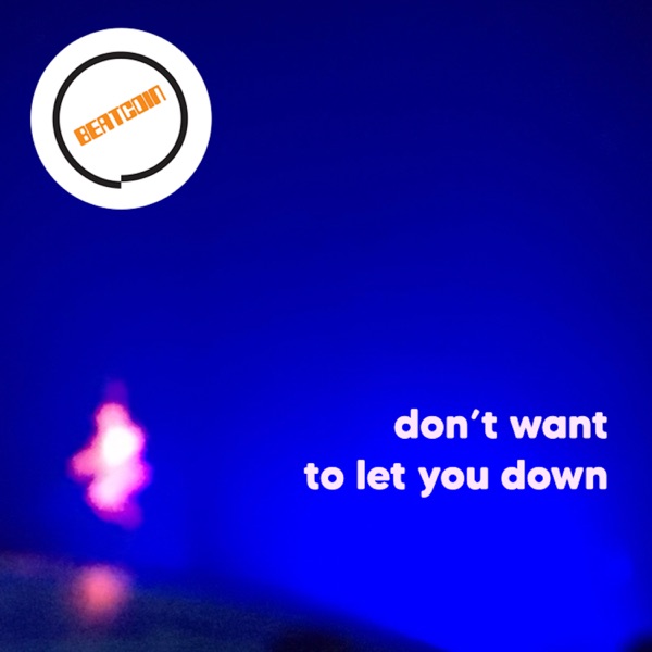 Don't Want to Let You Down
