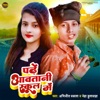 Padhe Aawatani School Me - Single