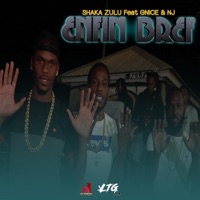 Enfin Bref (feat. Gnice & Nj) - Single - Shaka Zulu