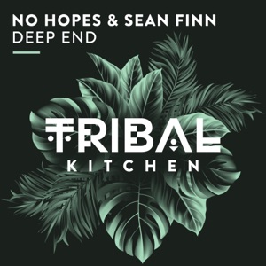Deep End (Radio Edit) - Single