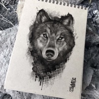 Lobo - Single