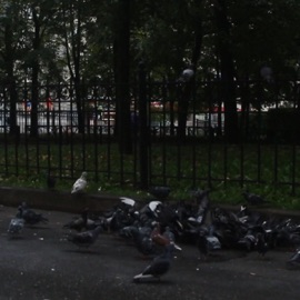 На доброте MULTIVERSE_RAP