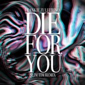 Die For You (Slim Tim Remix Radio Edit) artwork