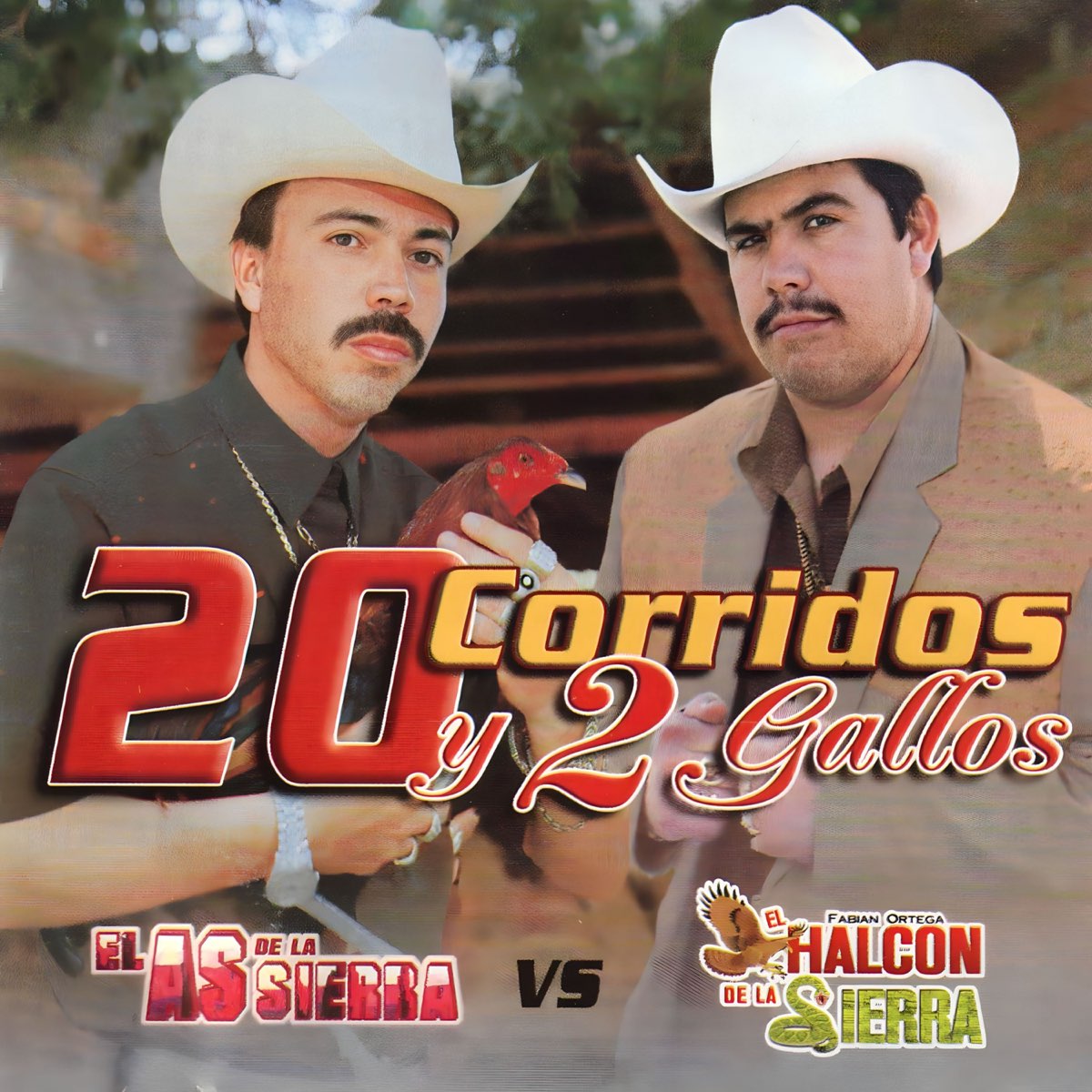 El As De La Sierra Patron De Patrones Lyrics 20 Corridos y 2 Gallos” álbum de El As De La Sierra & El Halcon de la