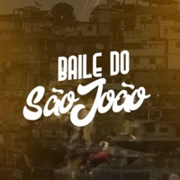 Baile do São João (feat. Mc Mk da Zl & Mc Maldita) - Single - Dj Pesadelo