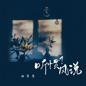 听惯了风说 - Single