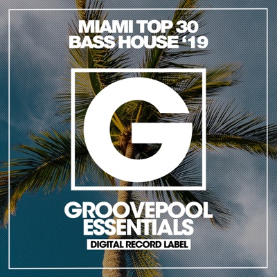Miami Top 30 Bass House '19