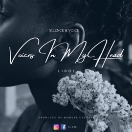 Voices In My Head Liboi