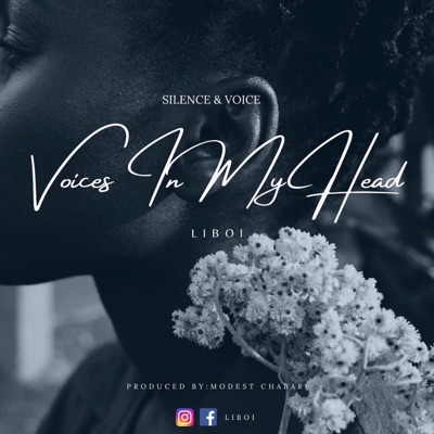 Voices In My Head - Single