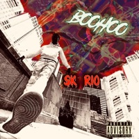 Boo Hoo - Single - SK RIO