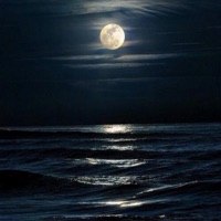 PURPOSEFULL FREESTYLE (feat. Ly.Ebss) - Single - Chanwithdaleft