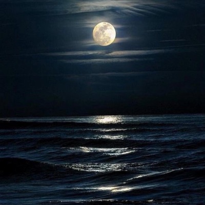 PURPOSEFULL FREESTYLE (feat. Ly.Ebss) - Single