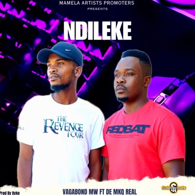 Ndileke (feat. De Mkq Real) - Single