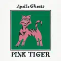 Pink Boys